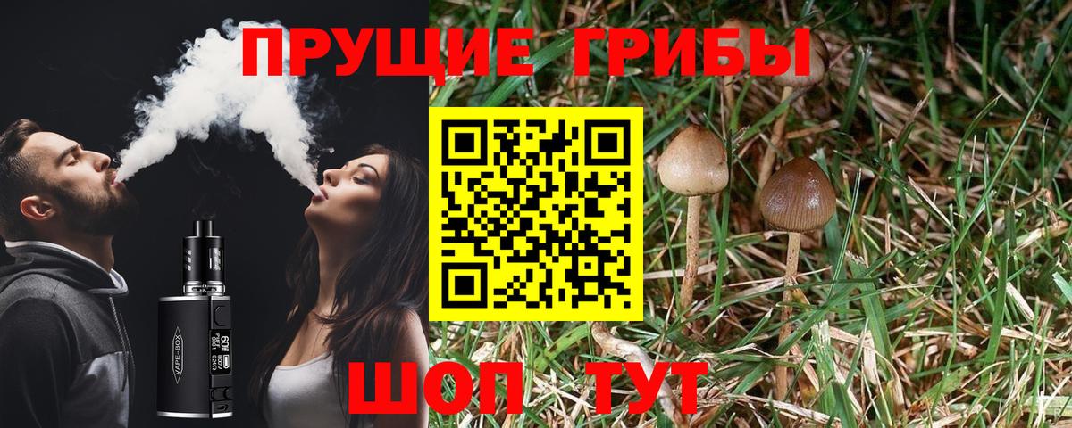 Галлюциногенные грибы ЛСД  Вход с VPN  Гулькевичи  Псилоцибиновые грибы Psilocybine cubensis 